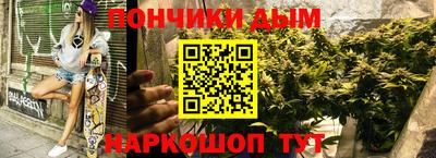прущие крисы Камышлов