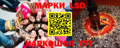 прущие крисы Камышлов