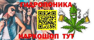 прущие крисы Камышлов