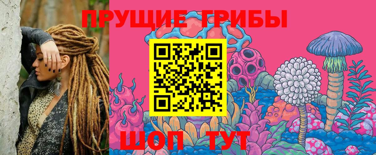 Галлюциногенные грибы GOLDEN TEACHER  Вход с VPN  Кстово  Псилоцибиновые грибы Psilocybe 