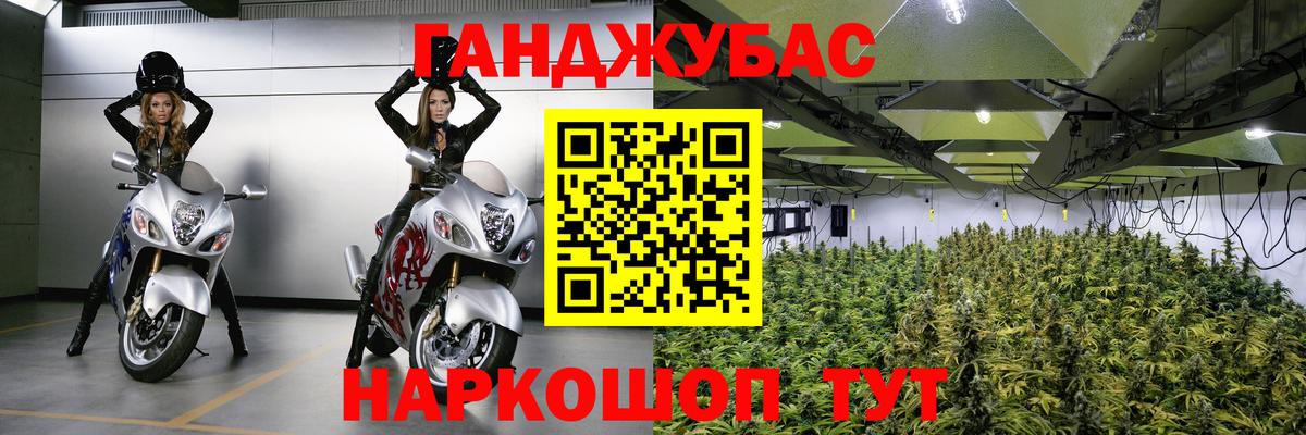Бошки марихуана ГИДРОПОН Кстово